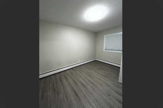 Freshly Renovated Single Bedroom Suites