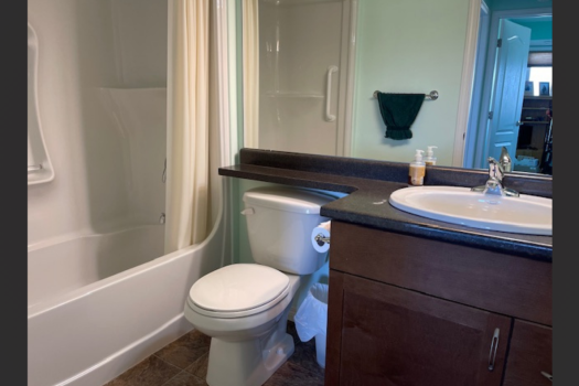 Lovely Lakeview 2 Bed 2 Bath Condo