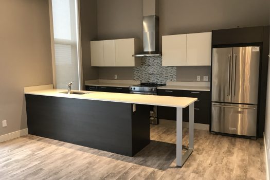 New Modern Luxury Condo in Willowgrove