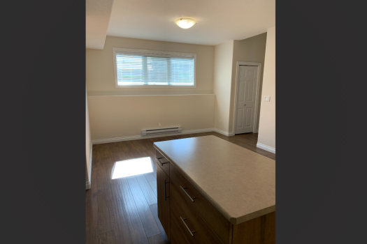 2 Bedroom Basement Suite in Evergreen