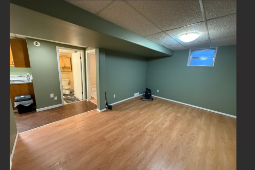 1 Bedroom Basement Suite in Haultain