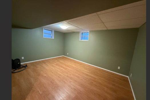 1 Bedroom Basement Suite in Haultain
