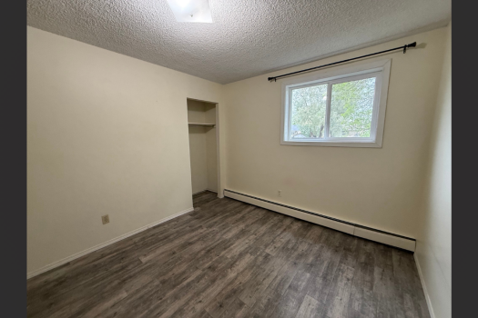 Quiet Apartment in Pacific Heights