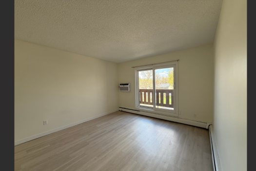 Quiet Apartment in Pacific Heights
