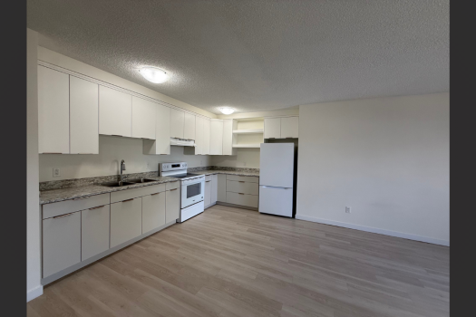 Quiet Apartment in Pacific Heights