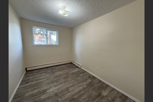 Quiet Apartment in Pacific Heights