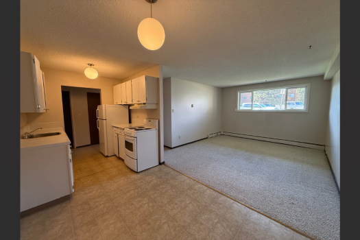 Quiet Apartment in Pacific Heights