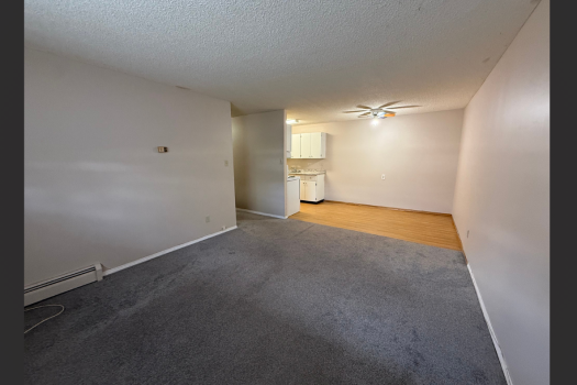 Quiet Apartment in Pacific Heights