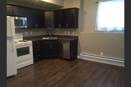 2 Bedroom Basement Suite in Evergreen